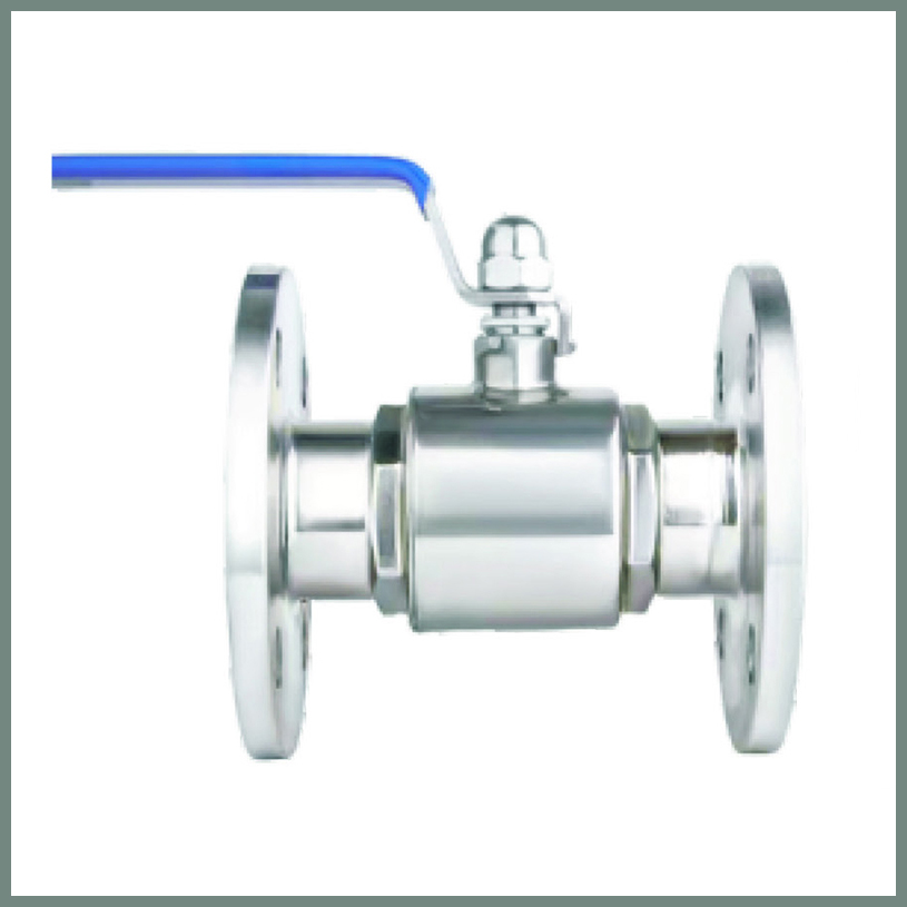 Stainless steel flanged wide ball valve